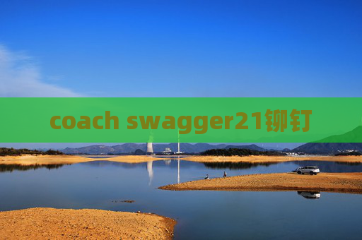 coach swagger21铆钉